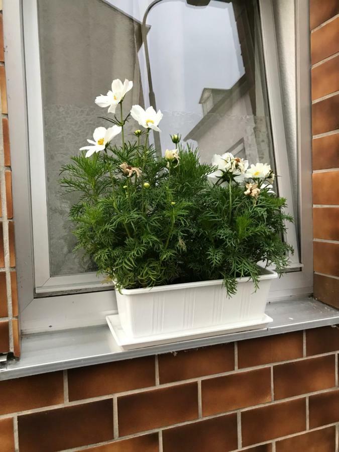 Ferienhaus Loehr Mit Treppenlift Villa Koblenz  Luaran gambar